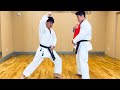 Applications of Gyaku-zuki（Naka Tatsuya）