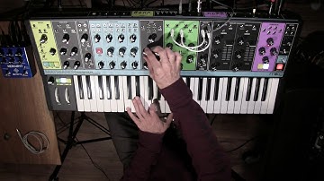 Moog Matriarch Sound demo NO TALKING high quality audio