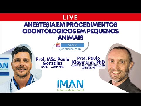 Vídeo: Anestesia Obrigatória Para Todos Os Procedimentos Odontológicos Para Animais De Estimação