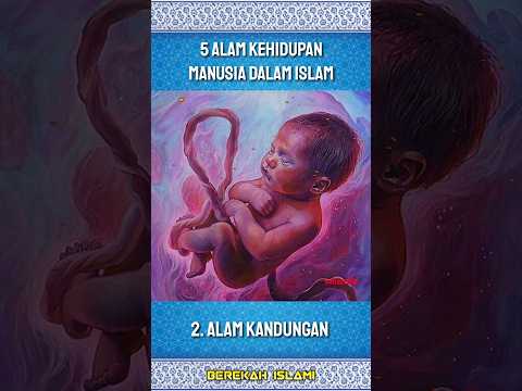 Inilah Fase Kehidupan