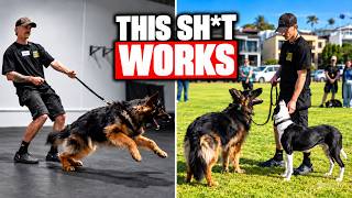 I Wish Someone Told Me THIS When I Had a Reactive German Shepherd (Extreme Case Study)