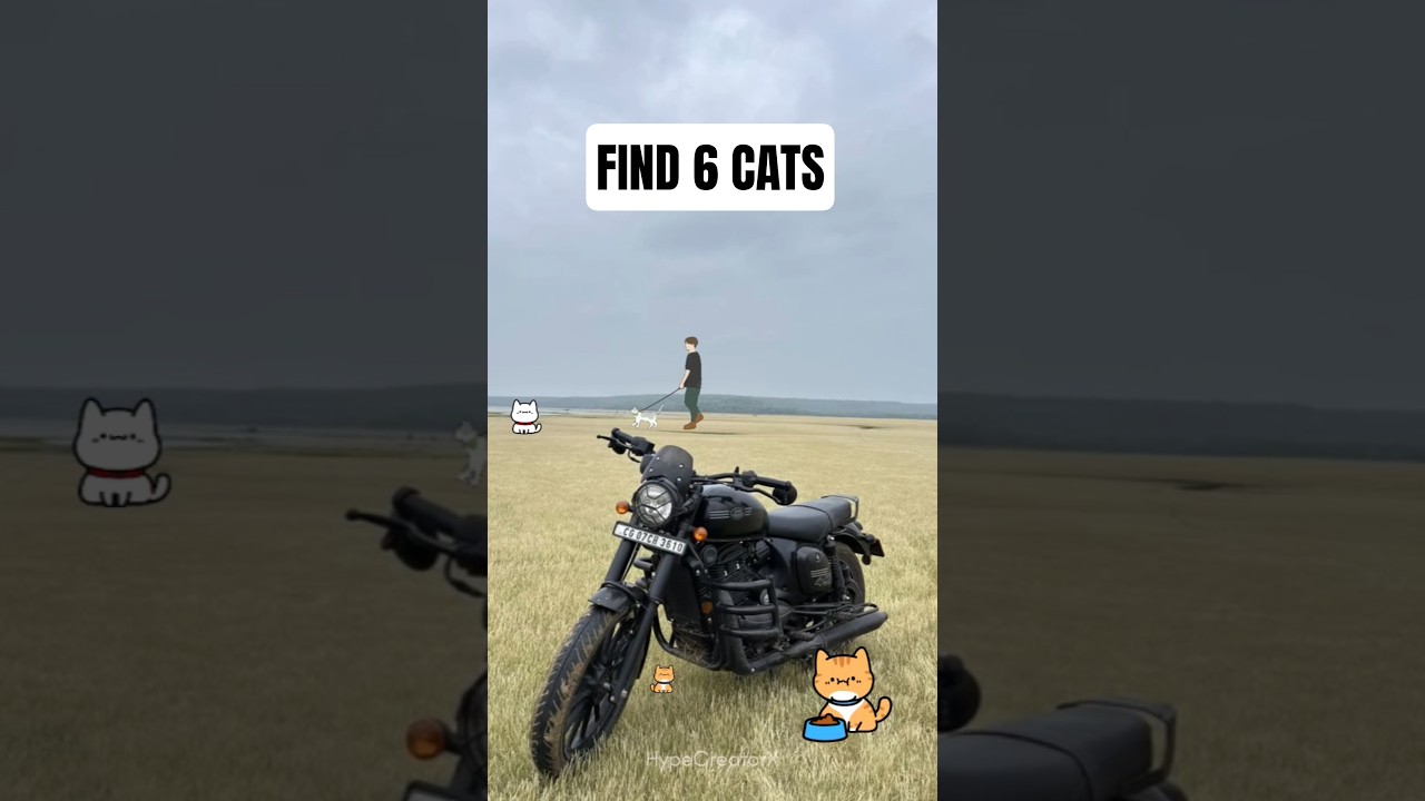 Can You Find All 6 Hidden Cats? 👀 