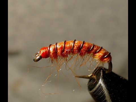 Fly Tying an