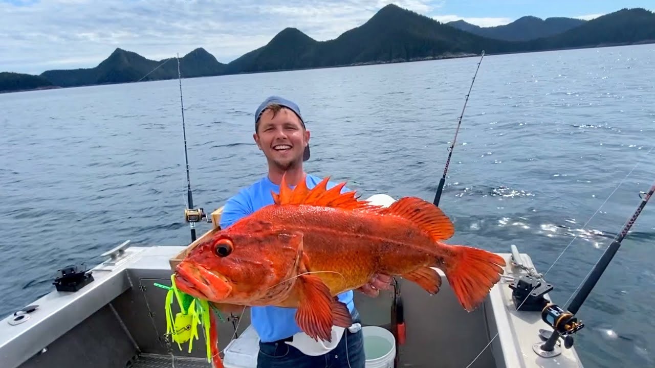 Alaskan Goldfish! Catching A Yelloweye Rockfish While Fishing in Seward
