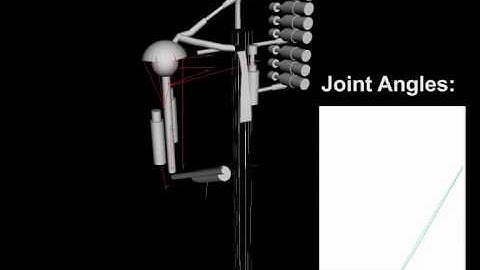 Joint-Space Control for an Anthropomimetic Robot