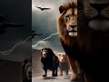 CLIPS TEASER TALL 0090 Great Flood Noah's Ark Bible Lessons Lions Tigers Animals Lookbook TALL