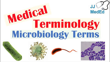 Medical Terminology - The Basics - Microbiology and Infectious Diseases Lesson