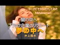 【カーナビでカラオケしてみた】 闇の中へ / Metaleaman (夢の中へ / 井上陽水) 20171120