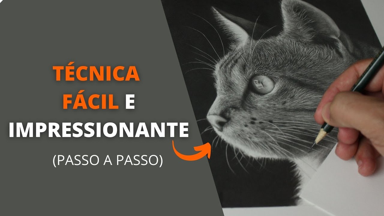 Desenhando um gato de forma realista – Blog da AreaE