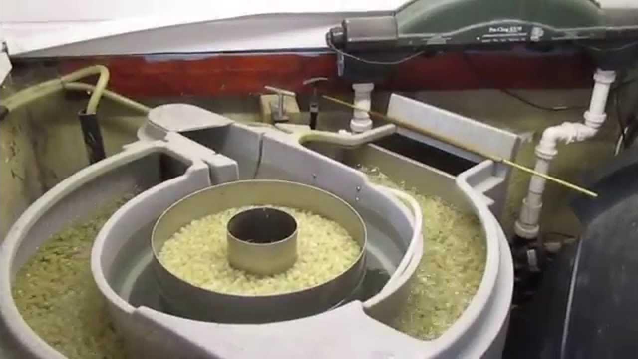 Nexus 200 Filter plus Pro Clear UV55 YouTube