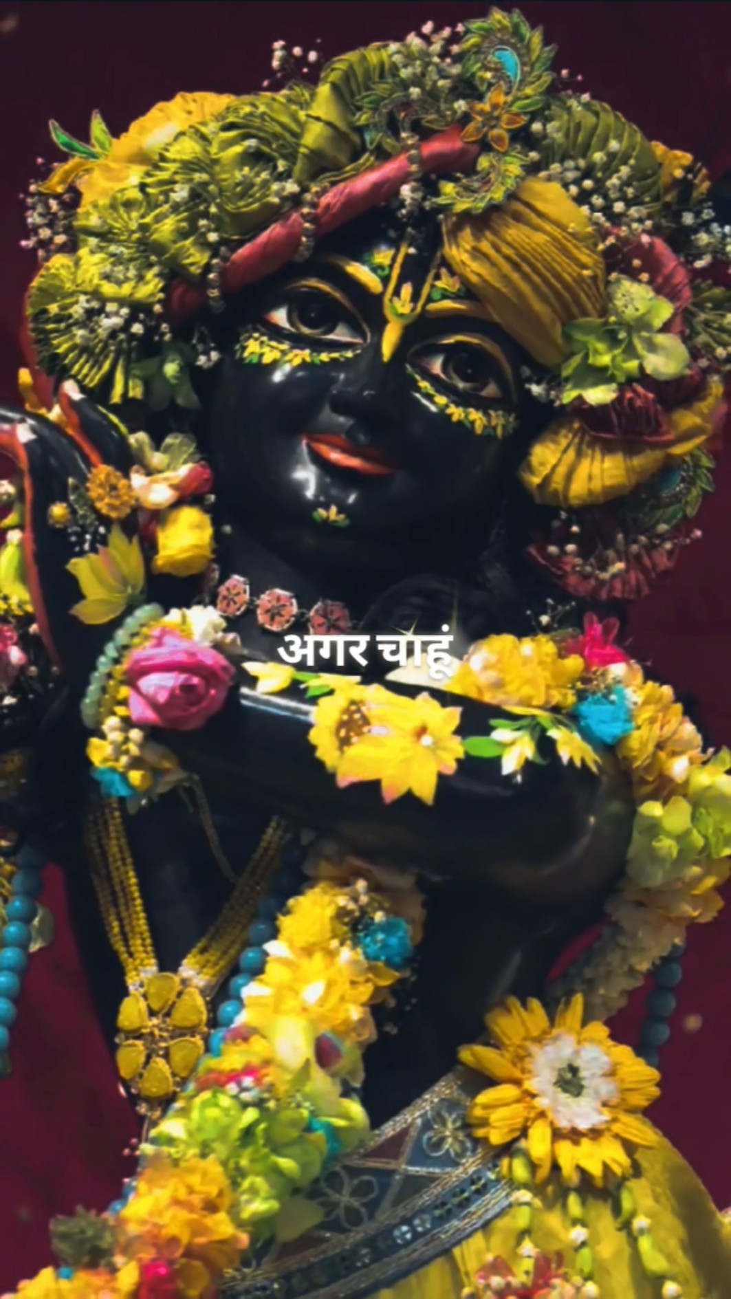 ❤️Love You ज़िंदगी ❤️ - ShareChat