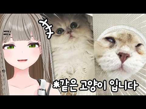 마침내 실물 공개 thumbnail