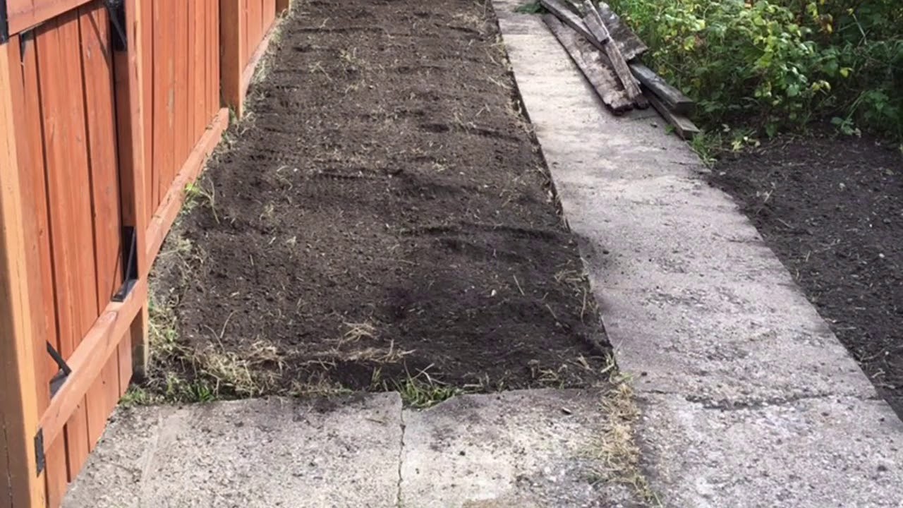 Summer 2017 Yard Care and Lawn Care