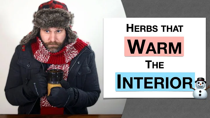 🌿 Herbology 3 Review - Herbs that Warm the Interior (Extended Live Lecture)
