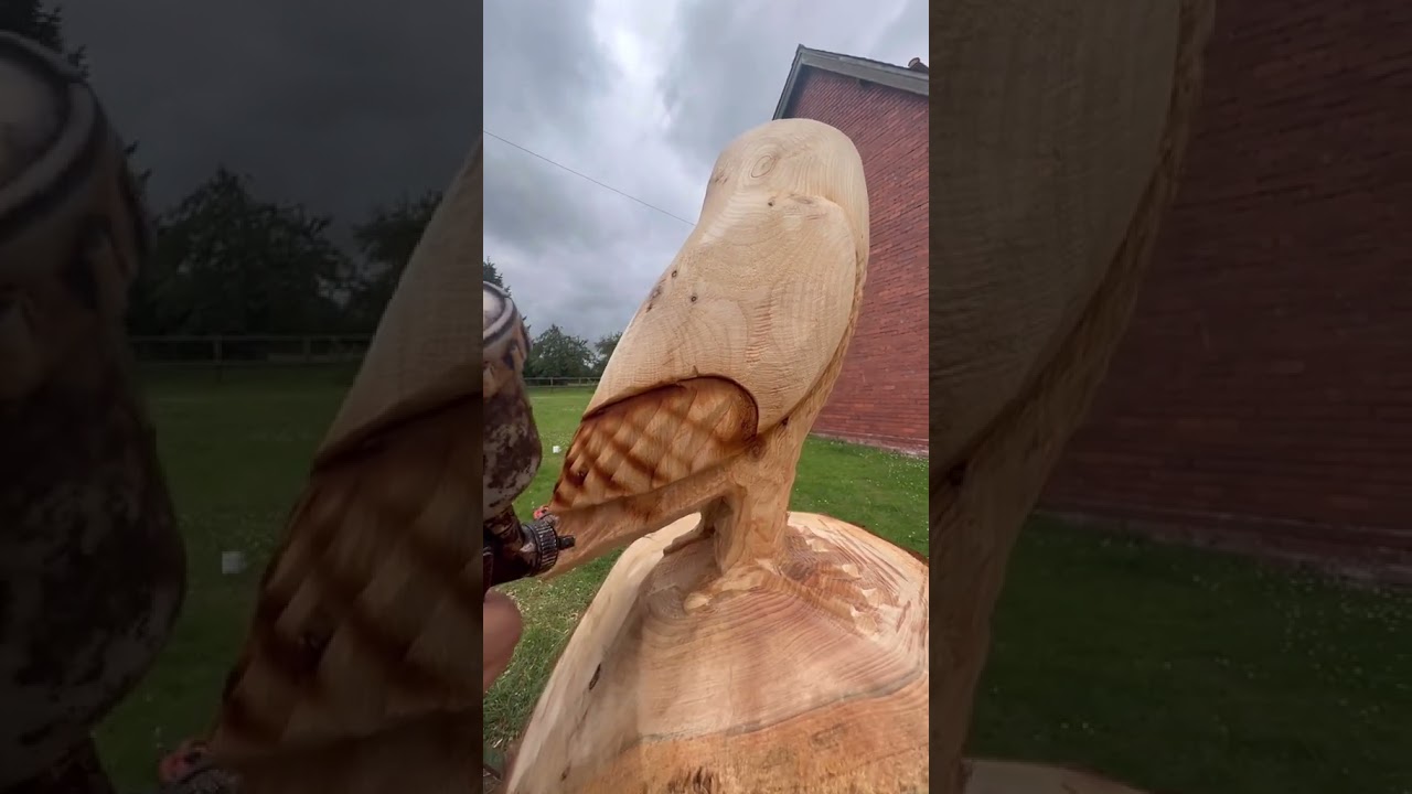 Owl Stump Job - Chainsaw Carving