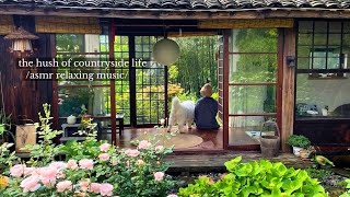 the hush of countryside life - /asmr relaxing music playlist/
