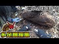 【ムカデ・ゲジゲジ】多足類採集 2018年2月下旬