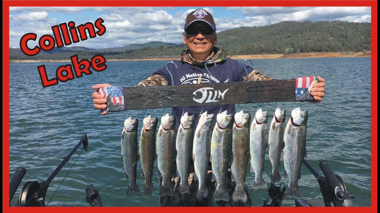 Epic Trout Fishing at Collins Lake YouTube
