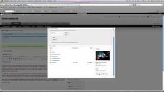 How To Add/Edit Content Inside Of Genesis