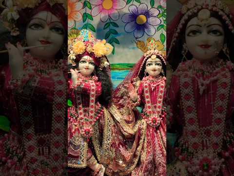 ​🌸 ढोलना में तेरे नाल | Radha Krishna Maroon Poshak Status ✨ | #shorts #viral​ #fyp