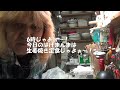 6時じゃよ!熟女と一緒にばげまんまじゃよぉ~!ヽ(^o^)丿