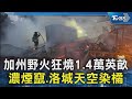 烏戰時局