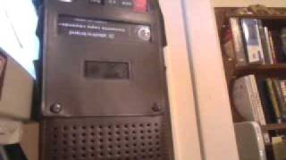 Abigail Peach Tree And The Two Shedded Cat - Dear House.wmv