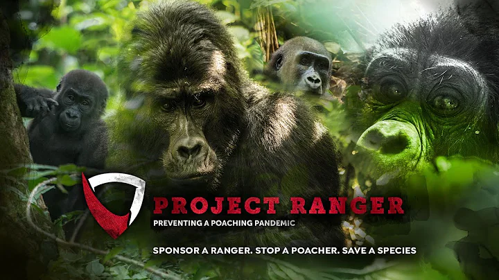 Episode 9: PROJECT RANGER - Preventing a poaching pandemic