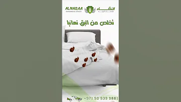 تخلص من البق نهائيا النقاء مبيدات مبيدات حشرات الامارات 