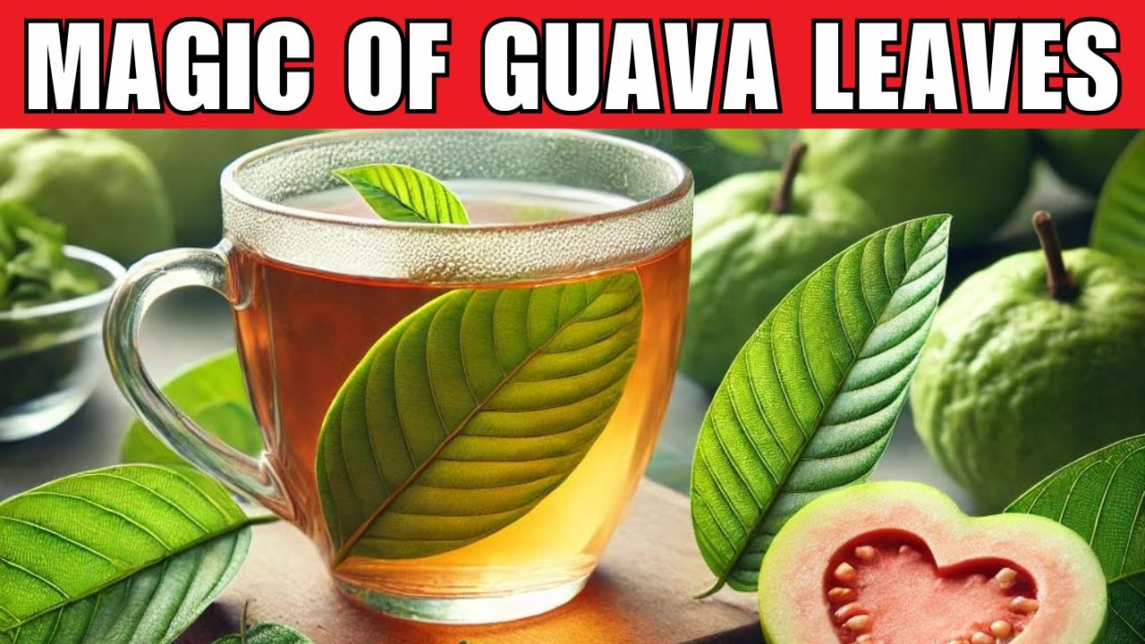 20 Amazing Benefits of Guava Leaves You Wish You Knew Sooner
