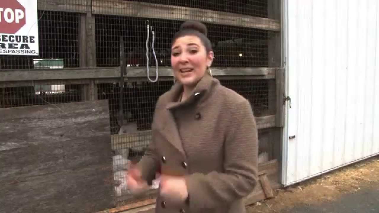 Meagan Todaro Resume Reel