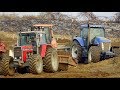 **8 tractors in 1 field**