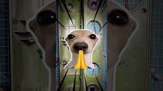 🤑Sirf ₹50 Ka Mila part 2  #speaker #repair #experiment @Techtoset