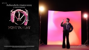 Thumbnail of NONT TANONT - คืนที่หมาเต็มวัด (Temple Dogs) ft.Singto Numchok [Lyric Video]