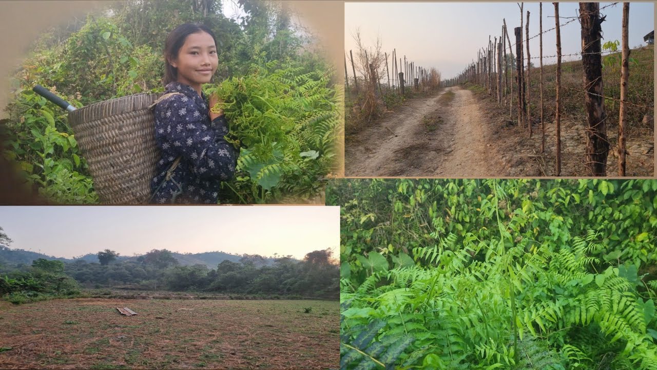 mu xawb kau suab lo ua xuv phav noj 4/3/2026