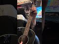 Whitesnake-is this love #whitesnake #guitarcover #guitarist #gibson #classicrock #80smusic