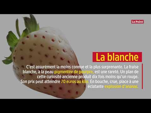 Vidéo: Les Fraises Blanches Sont-elles Savoureuses Et Saines ?