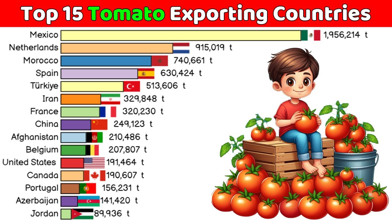 Top 15 Tomato Exporting Countries in the World