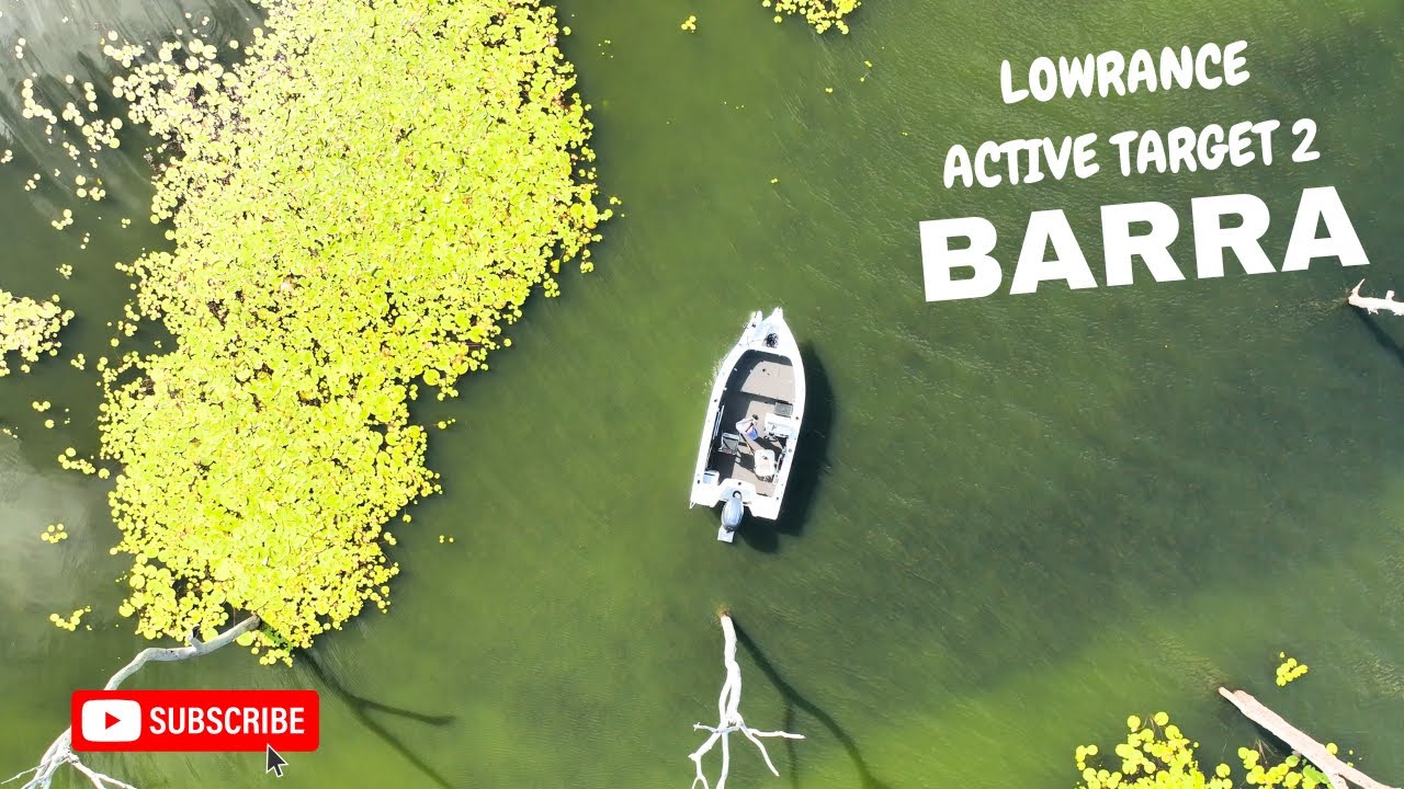 MY NEW TINNY!! + Quest To Catch My First Big Barra (Peter Faust Dam)