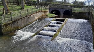 Auchterarder Fish Pass Ruthven Water