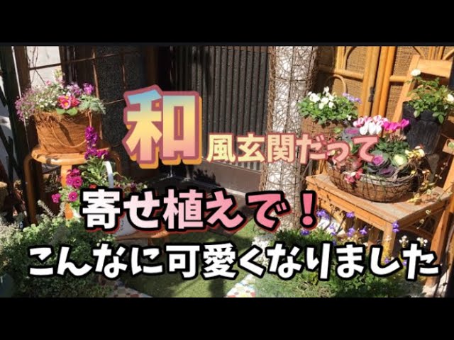ガーデニング 寂しい和風玄関 冬の寄せ植えで玄関前を可愛く飾りました 第二弾 Youtube