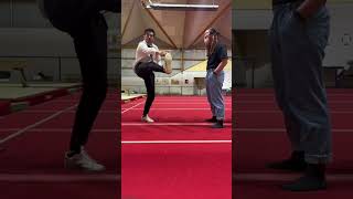 Comment Se Prendre Des Coups Dans Les Sans Avoir Mal