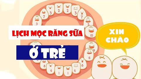 RĂNG SỮA | TRÌNH TỰ MỌC RĂNG SỮA TRẺ EM