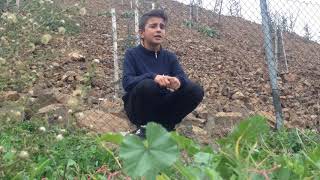 Caner28 Taylan Kaya Gelme Sakin Amatör 