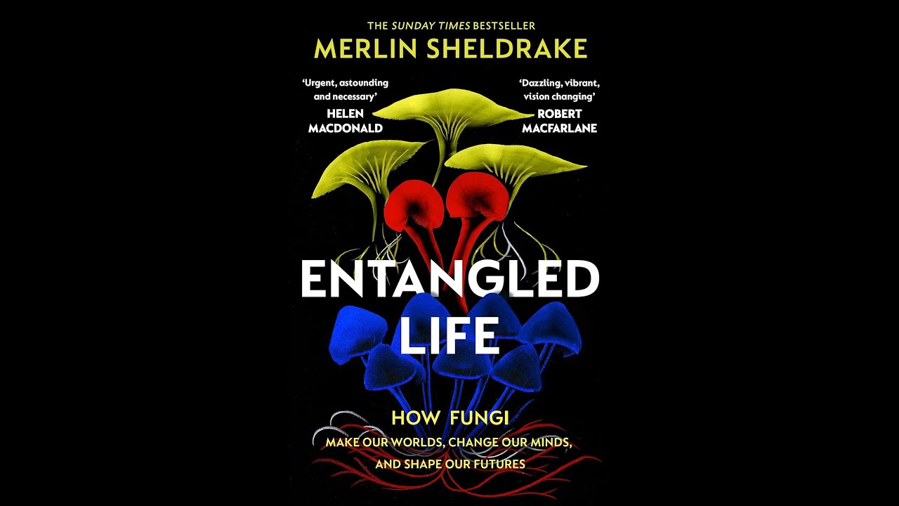 Entangled Life by Merlin Sheldrake Book Summary Podcast BookCast FM