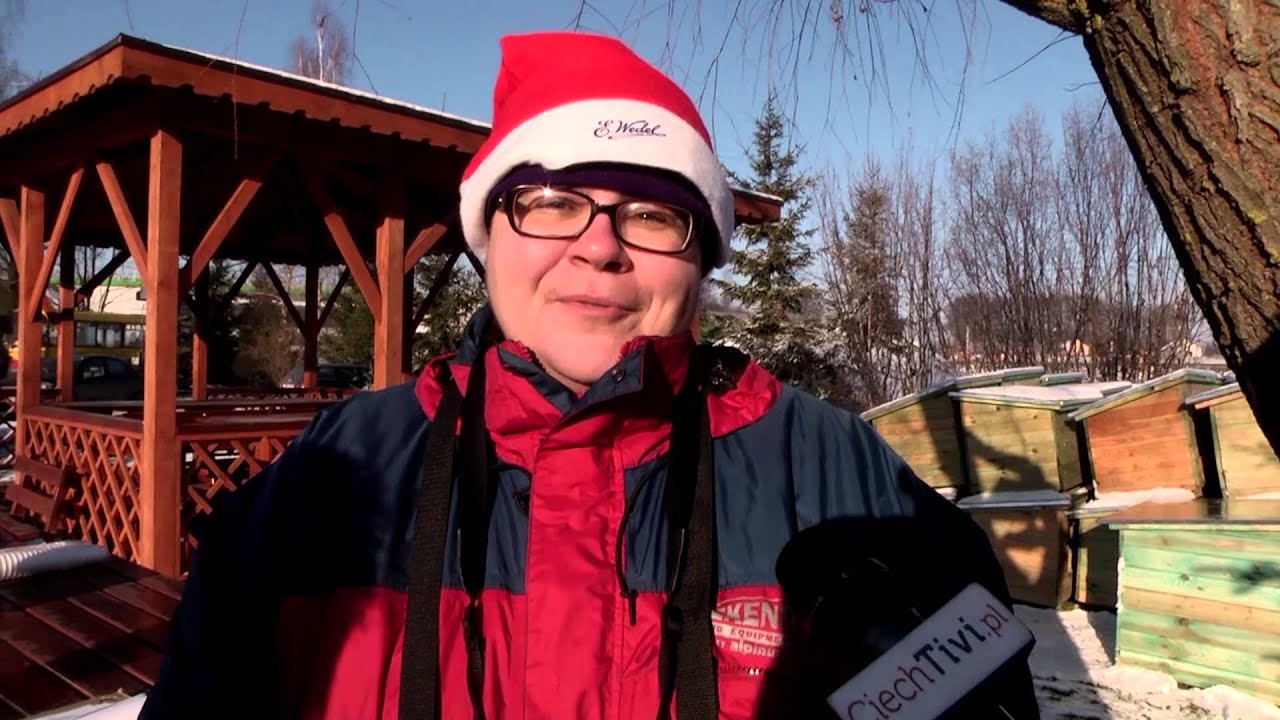 MIKO AJKI W Schronisku YouTube