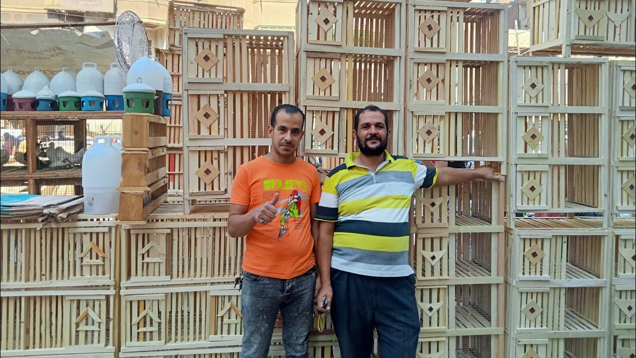 اسعار كل ملتزمات🐦 الحمام والغيات🪚🔨 عند ابو منه من سوق المحله الكبرى ت👈01092703751 