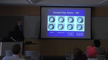 ECpE Distinguished Lecture Series - Milan Sonka