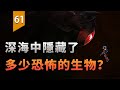 玩了這款遊戲，再也不想去深海了〖遊戲不止〗