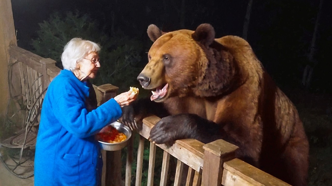 КОГДА ЖИВОТНЫЕ САМИ ВЫБИРАЮТ СЕБЕ ХОЗЯЕВ. САМЫЕ ЗАБАВНЫЕ ВИДЕО 2025